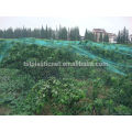 grapes farming plants protection covers mesh anti bird net